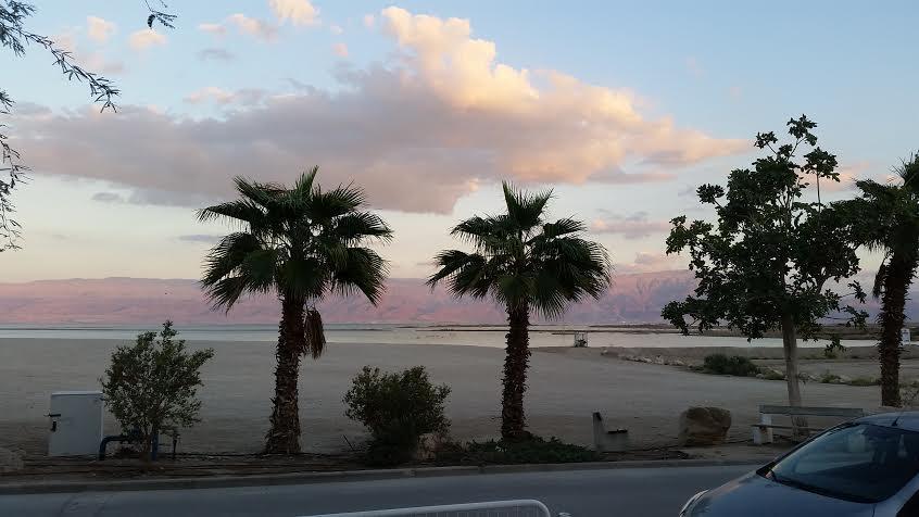 Rose Dead Sea Neve Zohar Hotel Værelse billede