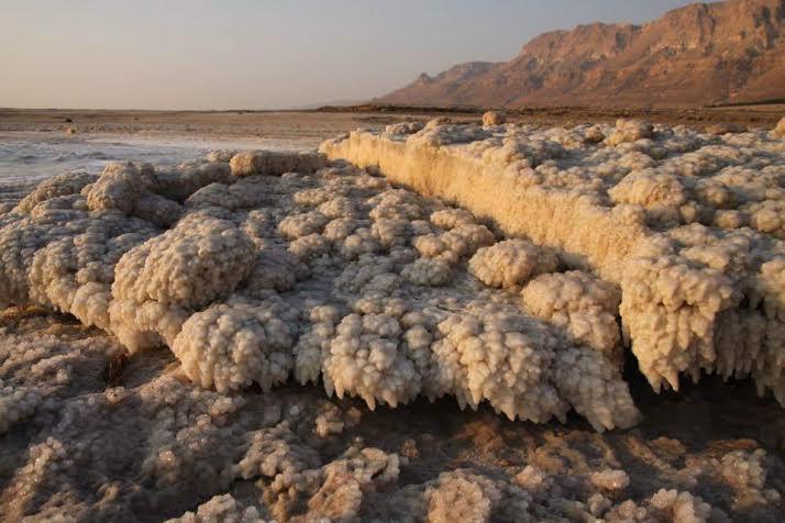 Rose Dead Sea Neve Zohar Hotel Værelse billede