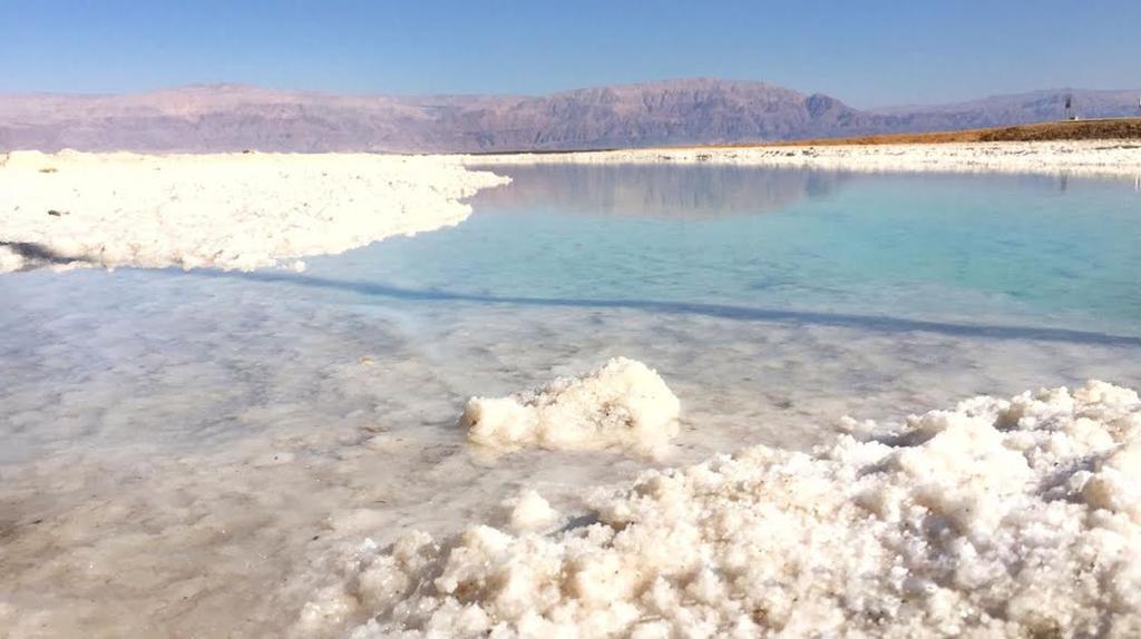 Rose Dead Sea Neve Zohar Hotel Eksteriør billede